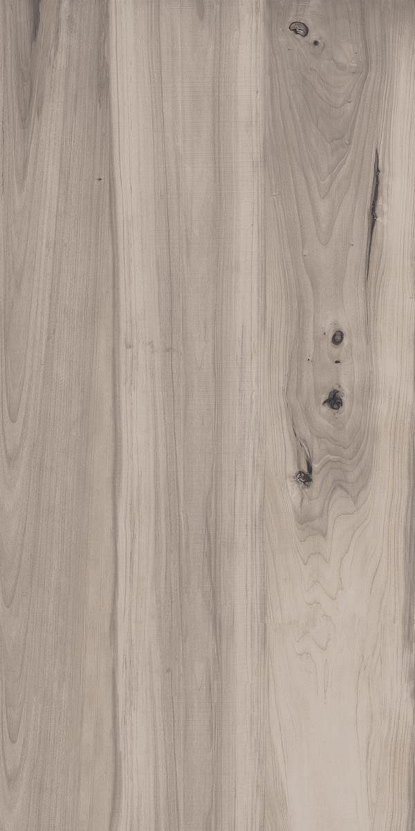 BEECH GREY F4